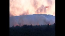 Aydos Ormanı'nda korkutan yangın