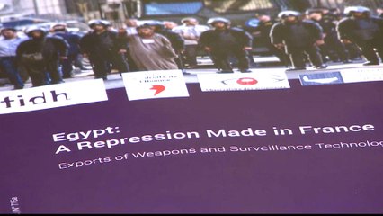 France aiding Egypt repression through arms sales: NGOs