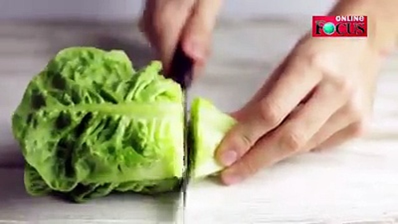 Wozu frischen Salat immer wieder im Supermarkt kaufen, wenn's auch so geht?! Selbst die untalentiertesten Gärtner kriegen das hin! ;-) Auch DU!