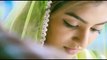 En Kannukkulla Unna Vachathala | Cute Face of Naziriya Nazim | Whatsapp Status Tamil