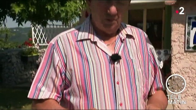 Publicité : plus de deux kilos de papier déposés chaque mois dans les boîtes aux lettres