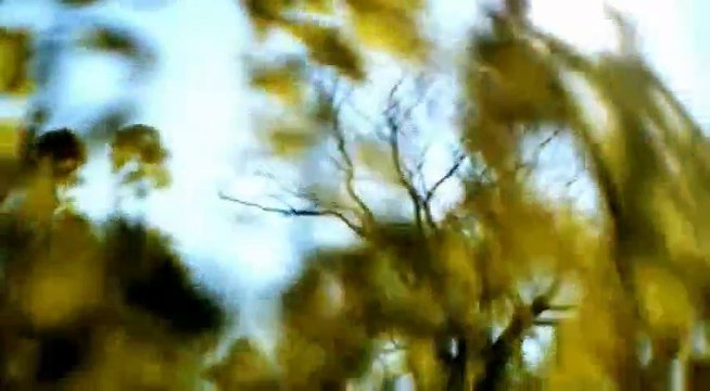 Les Enquetes de l inspecteur Wallander S1E1 FRENCH Part 04