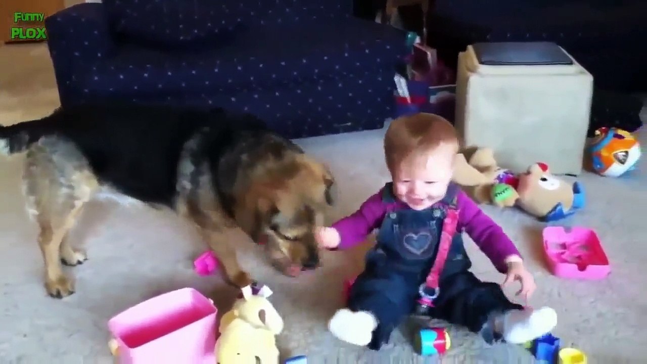 Adorable Babies Playing With Dogs and Cats - Funny Babies Compilation 2018