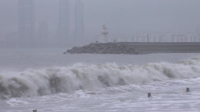 점점 다가오는 쁘라삐룬...부산지역 영향권 / YTN