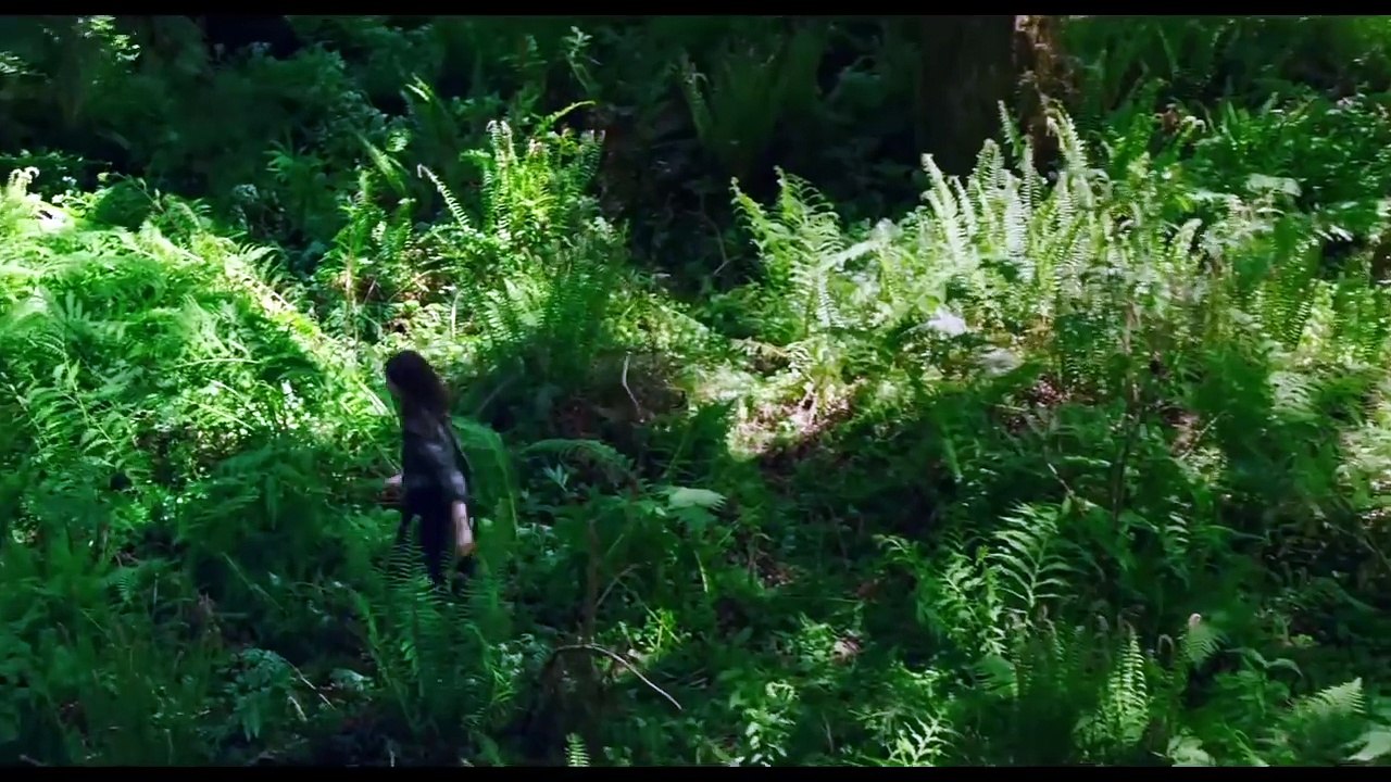 Leave No Trace Trailer #1 (2018) | Movieclips Trailers