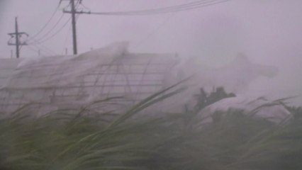 태풍 日 규슈 통과 중...강풍에 14명 다쳐 / YTN