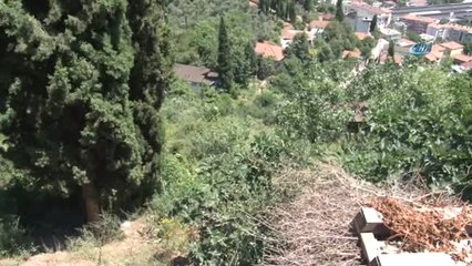 Yürürken Fenalaşıp Çalılıklara Düşen Adam Hayatını Kaybetti