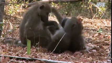 Karina Wild on Safari S01  E10