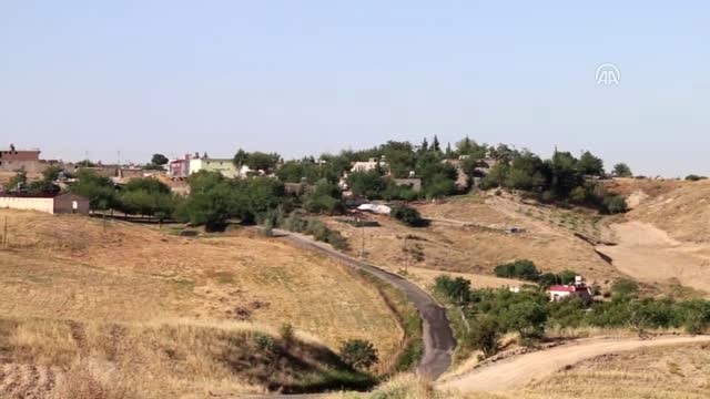 Anneleri Ölen Yavru Kedilere 96 Yaşındaki Nine Sahip Çıktı