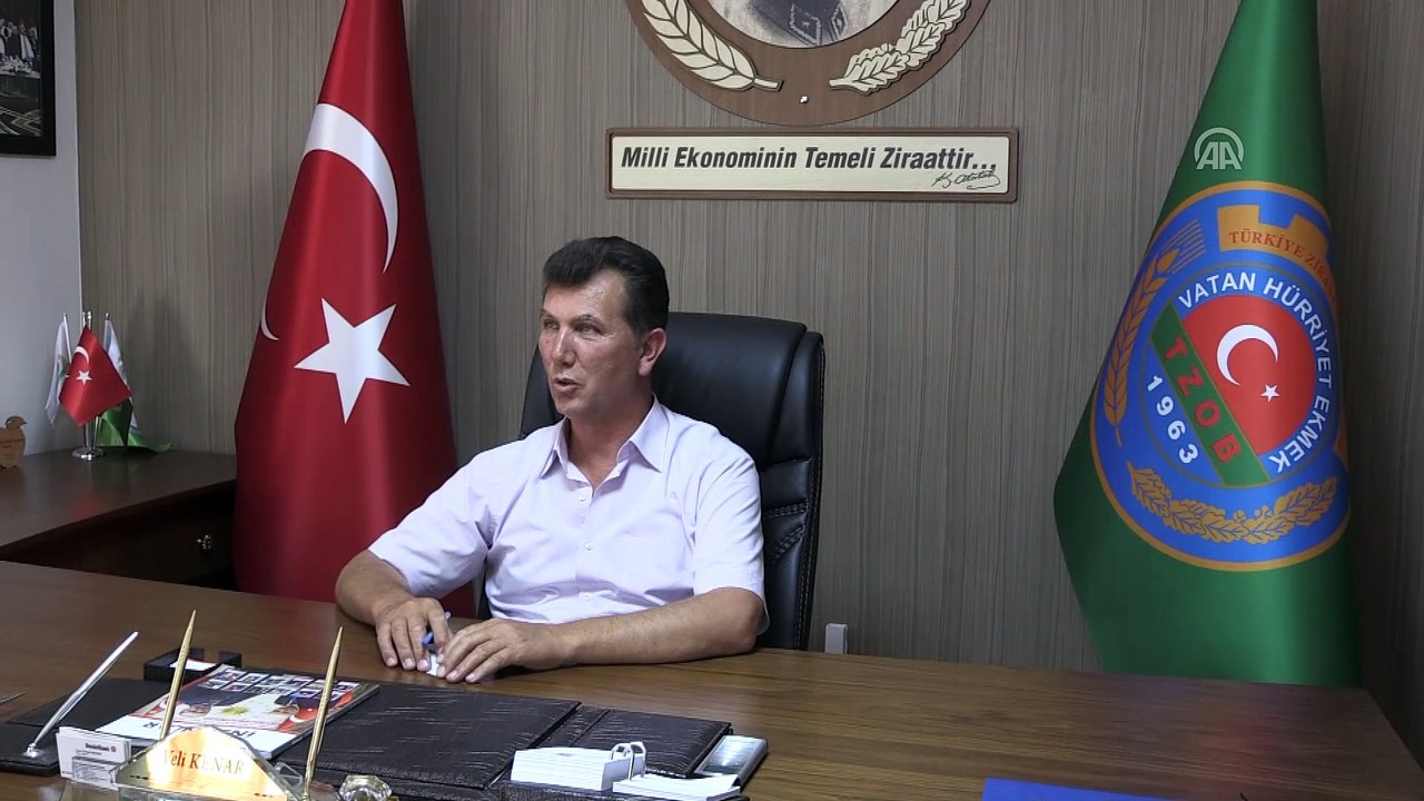 Patates hasadına başlanması - NİĞDE