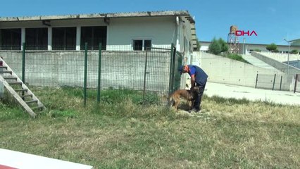 Samsun Ondan Türkiye'de Sadece 7 Tane Var