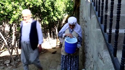 Anneleri ölen yavru kedilere 96 yaşındaki nine sahip çıktı - ADIYAMAN