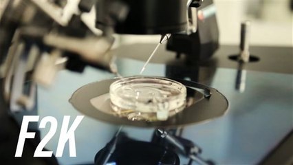 Ovarios artificiales: la batalla contra la infertilidad