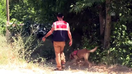 Kaybolan 6 yaşındaki Ufuk'u arama çalışmaları (2) - HATAY