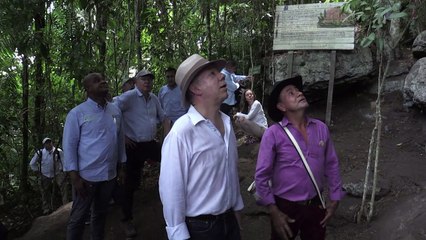 Colombia crea la mayor área protegida de su Amazonía