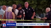 3-Year-Old Dies After Being Stabbed at Her Own Birthday Party