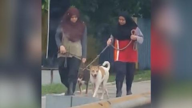 PAWS: Malay girls are first year veterinary students