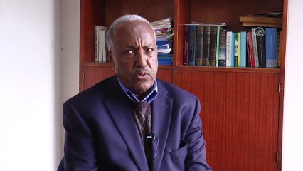 Afrika Boynuzu'nun eski dostları yeniden bir araya geliyor - ADDİS ABABA