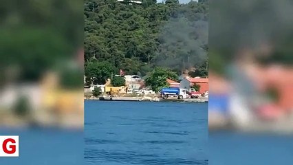 Sözde çevreci CHP'li Adalar Belediyesi yakayı ele verdi