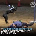 ¿Los perros pueden hacer reanimación cardiopulmonar? Probablemente no, pero un video publicado por la policía de Madrid parece mostrar lo contrario. ►