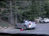 Bear Destroys Mitsubishi Eclipse In Search Of Food