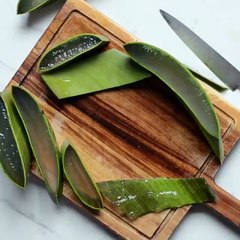 Great ideas with aloe vera