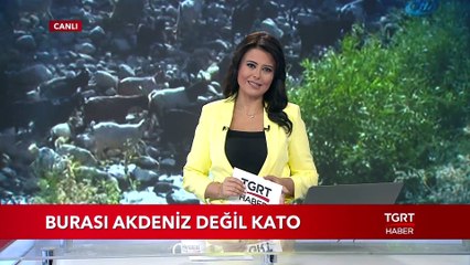 Burası Akdeniz Değil Kato