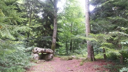Nos coups de cœur dans le Sénonais : Le Dolmen de Lancy