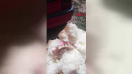 Muğla Ekmekten 'Diş Protezi' Çıktı İddiası