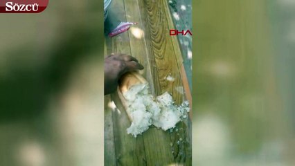 Ekmekten diş protezi çıktı iddiası