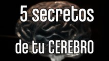 [CH] 5 Secretos que te oculta tu cerebro