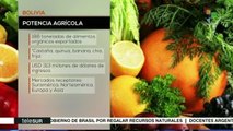Bolivia se convierte en gran exportador de alimentos orgánicos