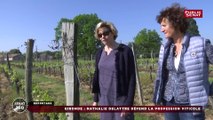 La viticulture défendue par Nathalie Delattre, la sénatrice (RDSE) de Gironde