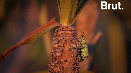 Ces 3 destinations ont fait le pari de l'écoresponsabilité