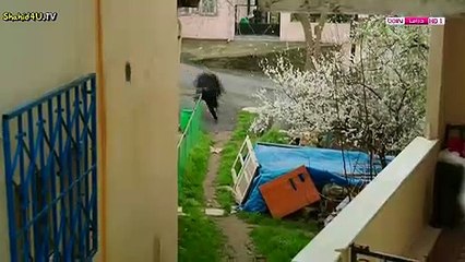 مسلسل شمس الشتاء الحلقة 10 مدبلجة