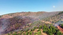 Orman yangını kontrol altına alındı - KAHRAMANMARAŞ