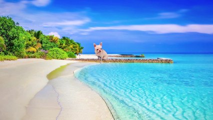 Sushi: 11 Tips, Traditions & Legends That Will Surprise You