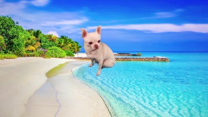 Legendary Vikings - 12 Intriguing Truths You Probably Didn't Know