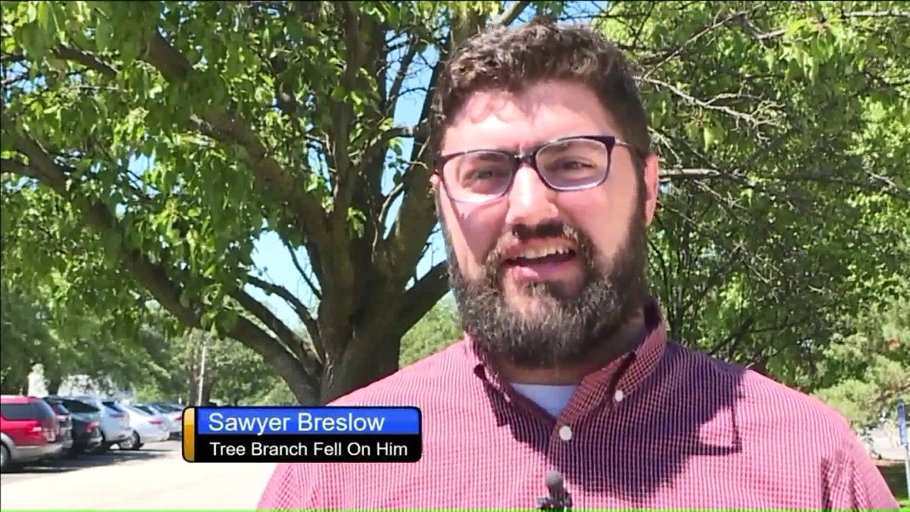 Video Shows Massive Tree Branch Falling on Man in His Backyard