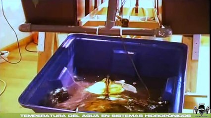 CAP 4: SISTEMAS HIDROPONICOS Y AEROPONICOS - CANNABIS INDOOR