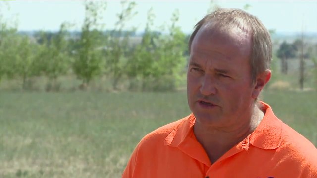 Lions That Mauled Zookeeper in South Korea Now Live in Colorado Sanctuary