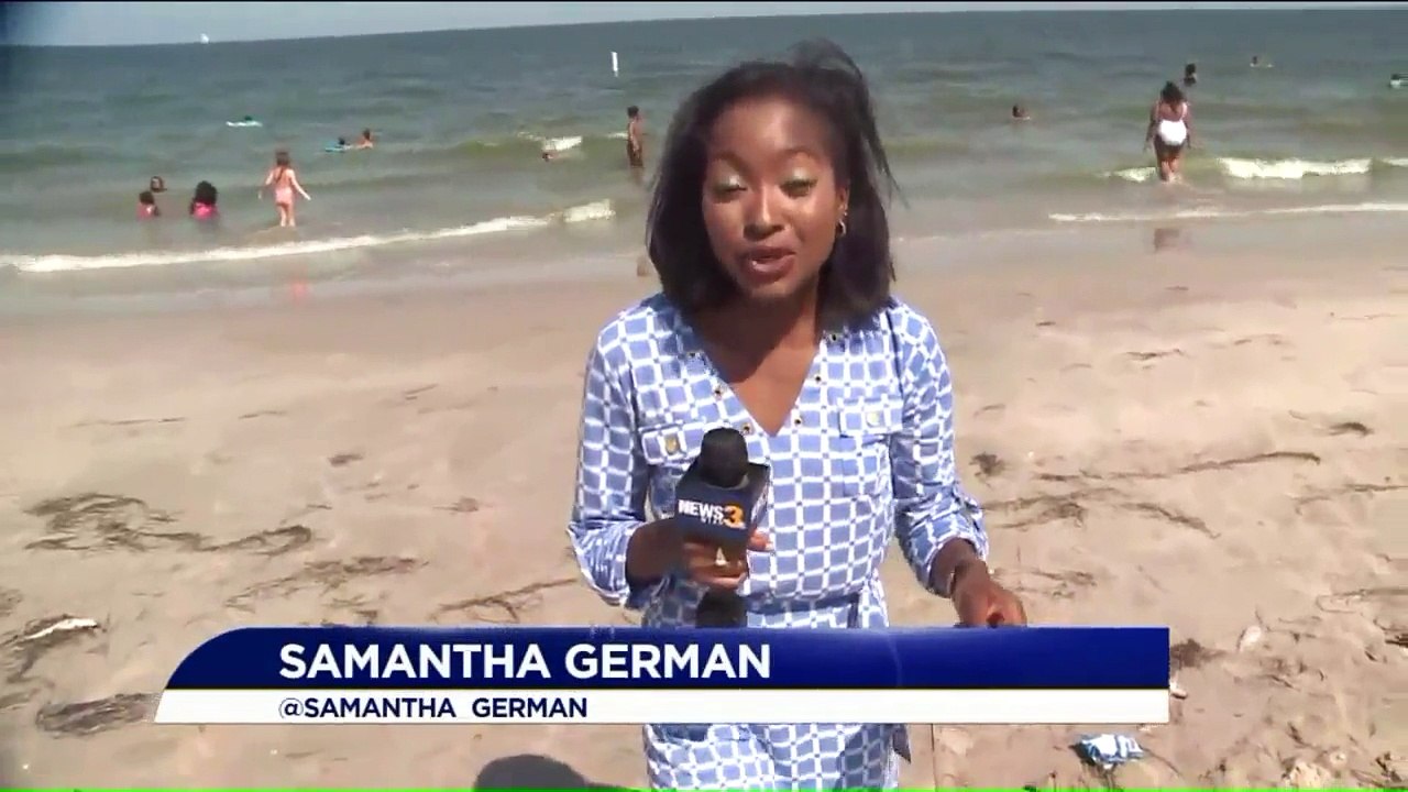 Mysterious Fish Kill Prompts Swimming Advisory at Virginia Beach