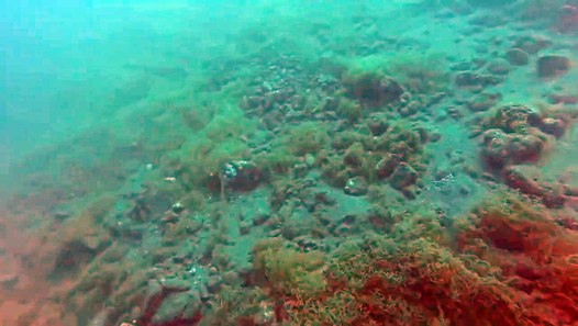 boa de l eau en 7 lettres