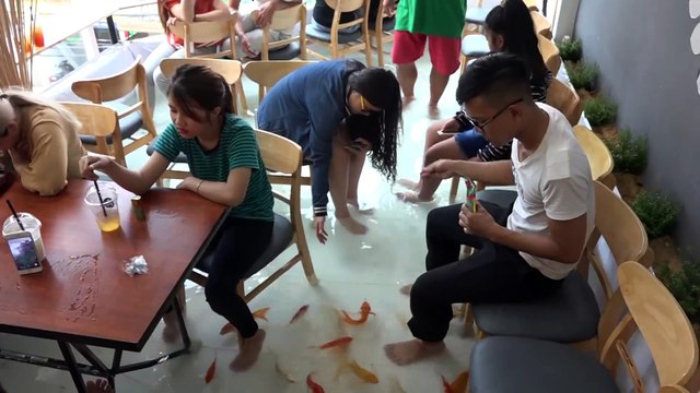 Un bar les pieds dans l'eau, entouré de poissons rouges