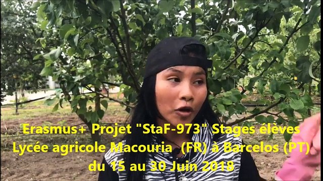 Erasmus+ Lycée agricole Macouria Guyane StaF-973 à Barcelos au Portugal 15 au 30 juin 2018