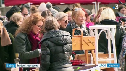 Suède : espèces menacées