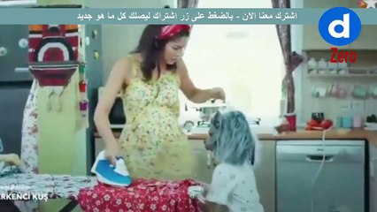 مسلسل الطائر المبكر حلقة 2 مترجم || القسم 4