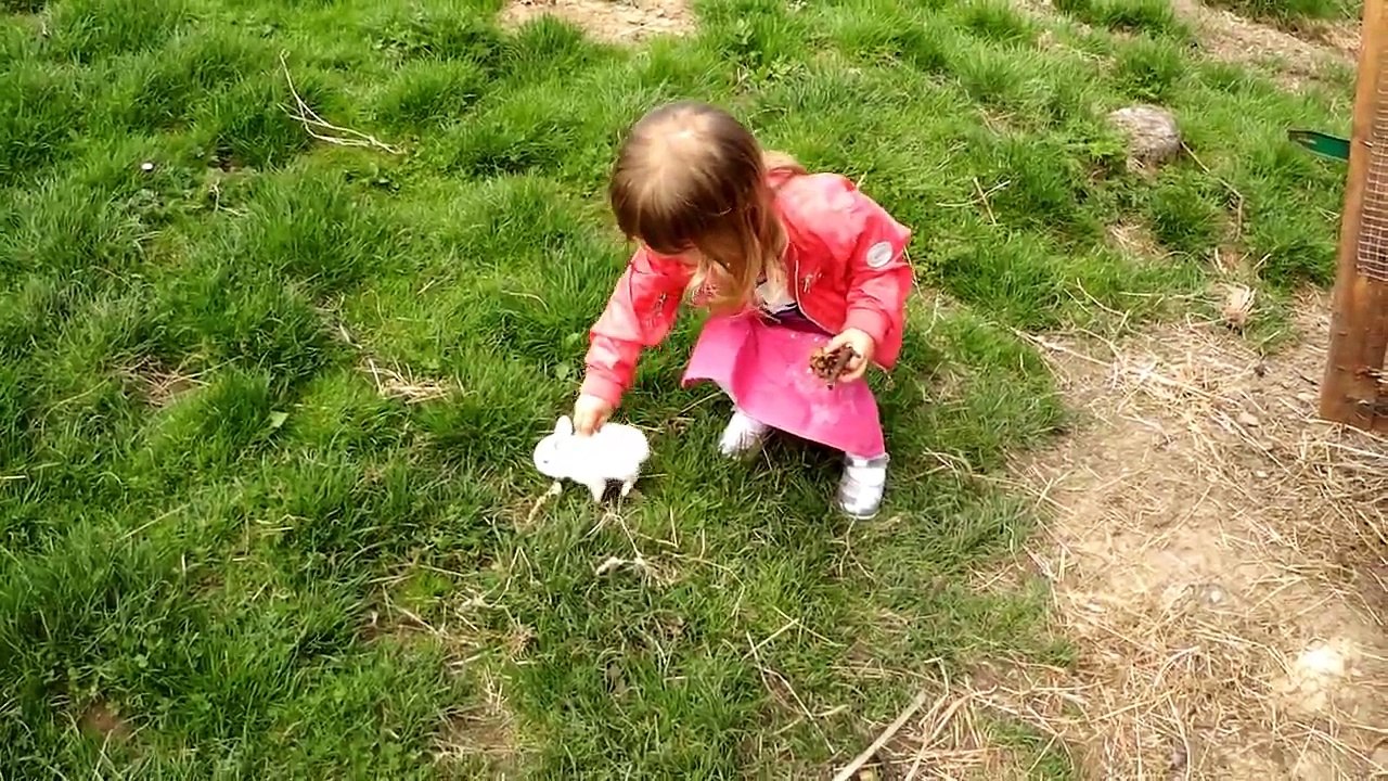 Julia und Hase (Julia & Rabbit) (Julia i królik)