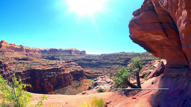 THE SUN - Breathtaking Recitation - Omar Hisham Al Arabi