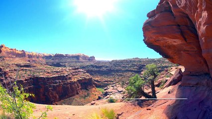 THE SUN - Breathtaking Recitation - Omar Hisham Al Arabi